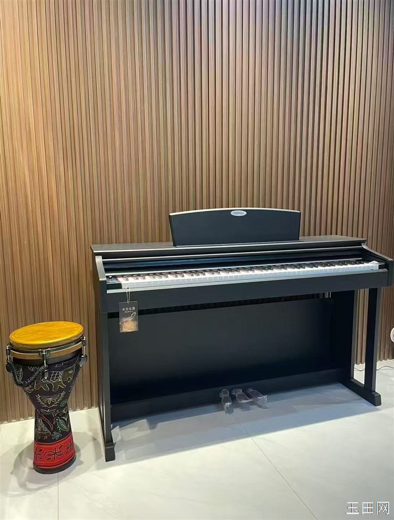 唐山永宏乐器【玉田店】 本店主营中西乐器及配件批发零售,高 中 低不同档次