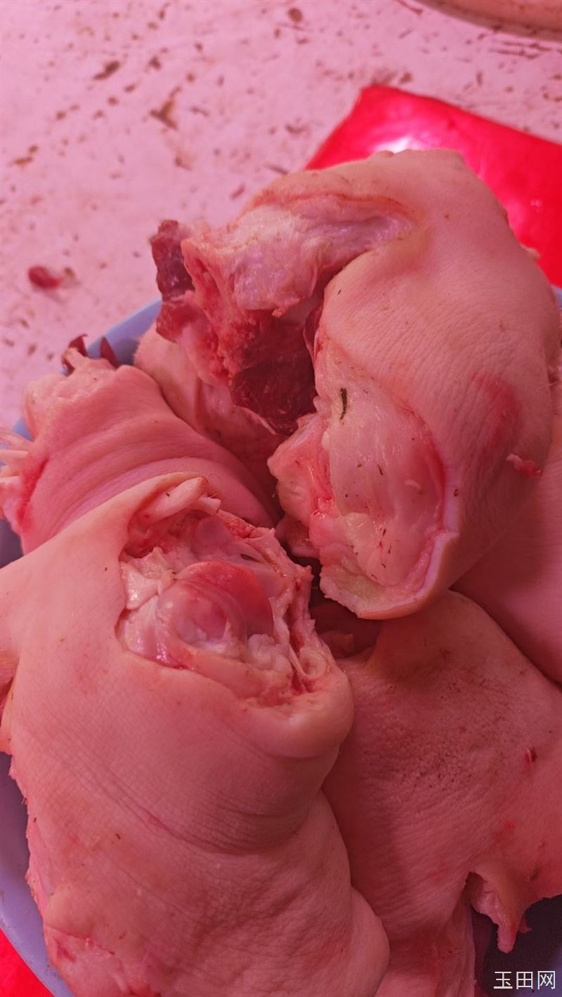 猪瓜13元一斤，猎肘8元一斤，猪腰子10一斤，保证质量