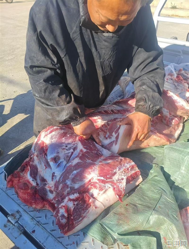 需要散养猪肉的联系,电话13514244151,地址郭桥