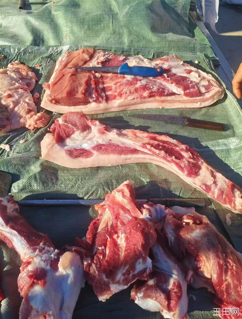 需要散养猪肉的联系,电话13514244151,地址郭桥