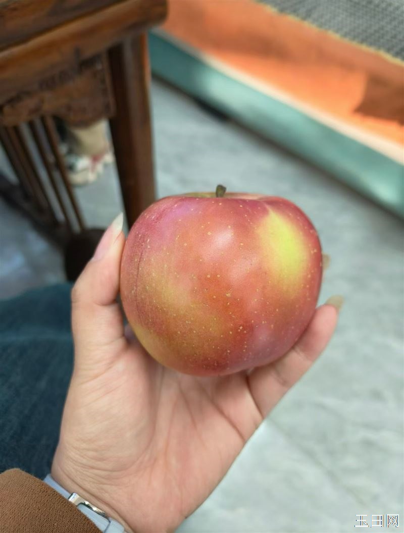 我是玉田果邦救援，一位老大爷找到我，跟我说，家里还有7.8千斤苹果，问我可以给卖卖吗