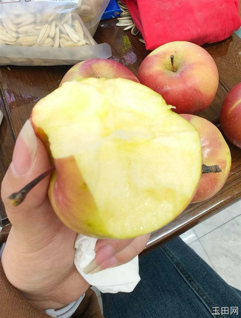 我是玉田果邦救援,一位老大爷找到我,跟我说,家里还有7.8千斤苹果,问我可以给卖卖吗