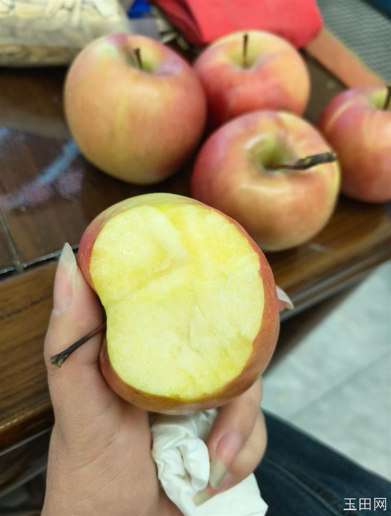 我是玉田果邦救援,一位老大爷找到我,跟我说,家里还有7.8千斤苹果,问我可以给卖卖吗