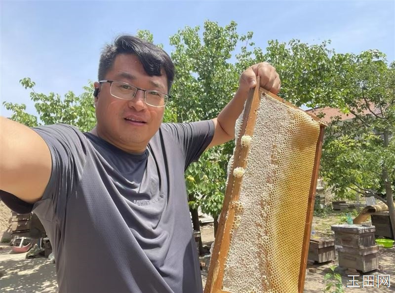 自家养,纯蜂蜜,今年蜂蜜特别粘稠,质量上乘,百花蜜,是自家食用,赠送亲友的上等佳品