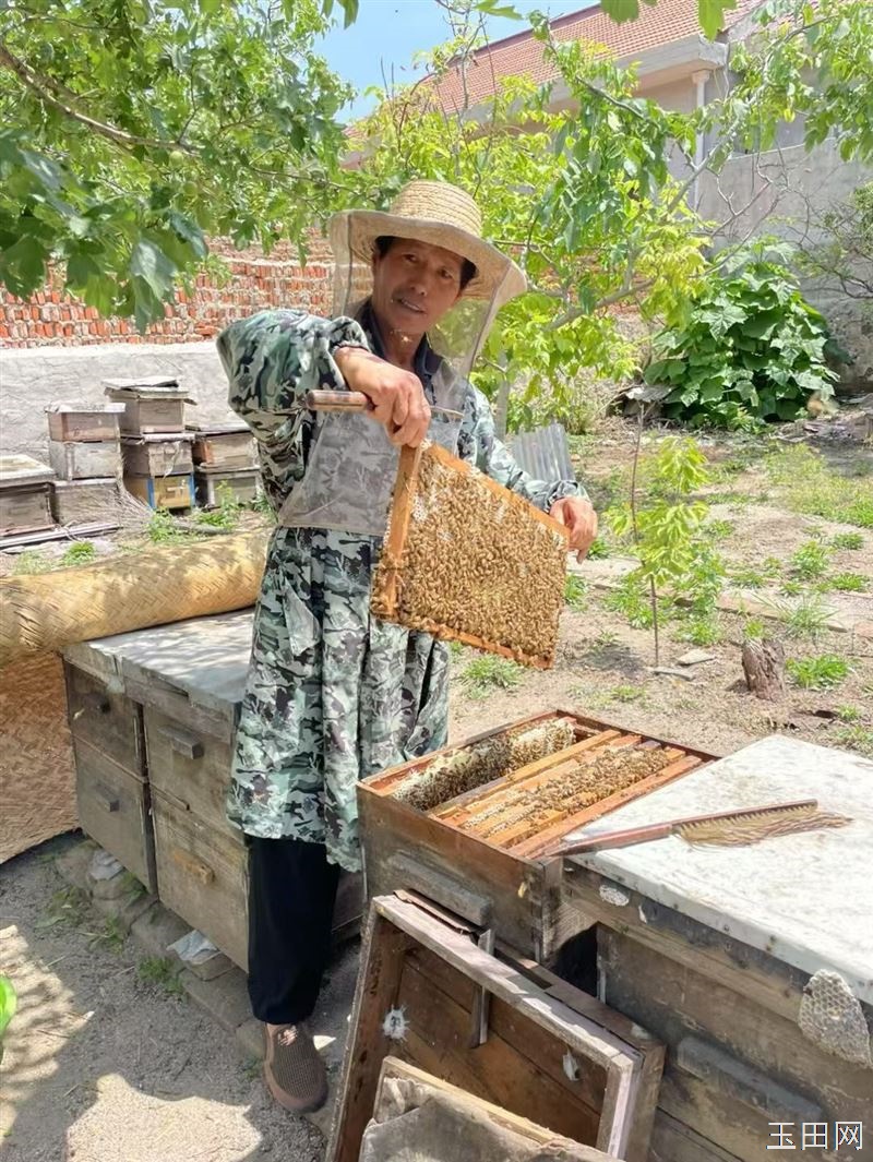 自家养,纯蜂蜜,今年蜂蜜特别粘稠,质量上乘,百花蜜,是自家食用,赠送亲友的上等佳品