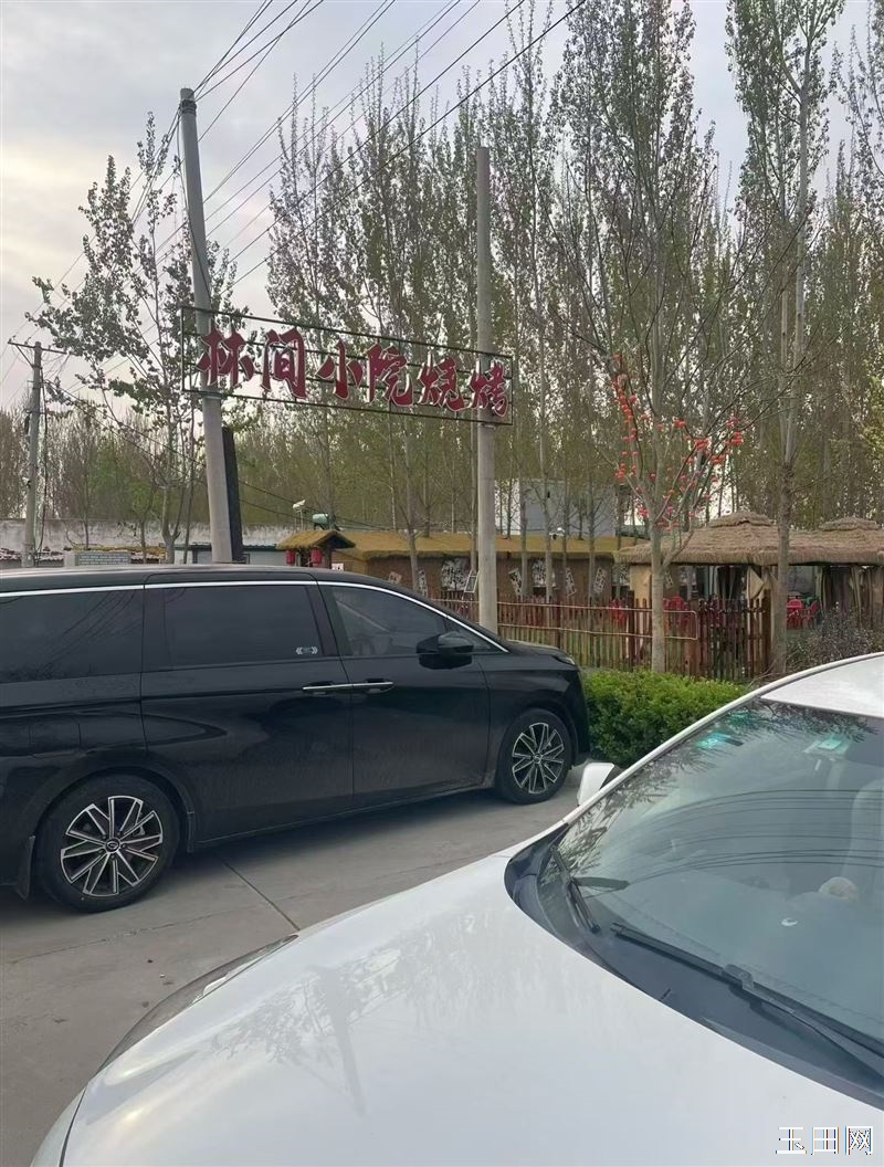 试营业,🔥林间小院烧烤 试营业啦🔥 新鲜肉串·秘制调味· 环境惬意