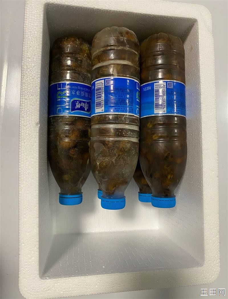 马吉猴。中秋佳节送礼想送硬头货的可以预约啦。带保温盒！ 